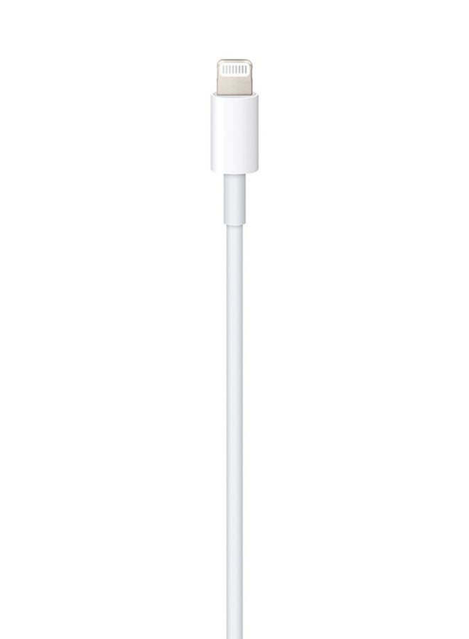 Apple USB-C To Lightning 3.3' (1M) Cable (MM0A3AM/A) White