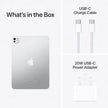 iPad Pro13‑inch - Mobile catalyst